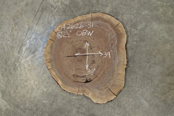 Oregon Black Walnut Round 042626-31