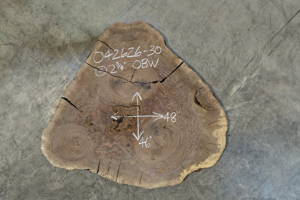 Oregon Black Walnut Round 042626-30