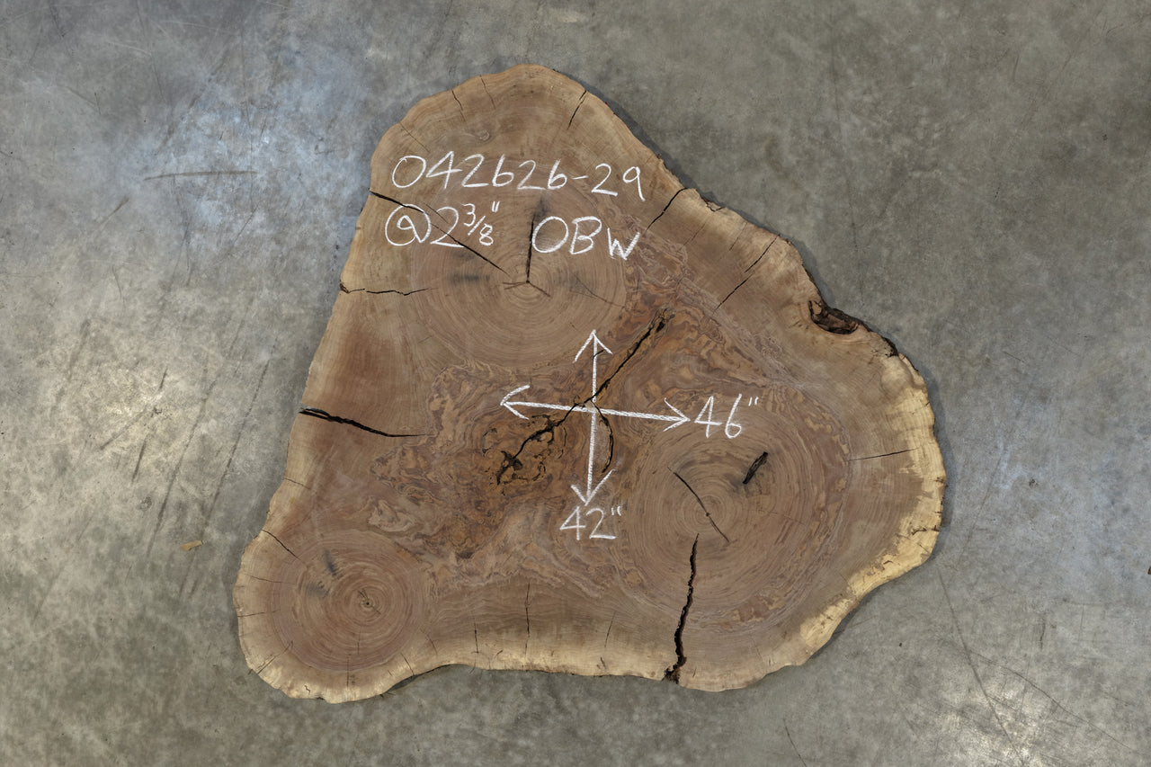 Oregon Black Walnut Round 042626-29