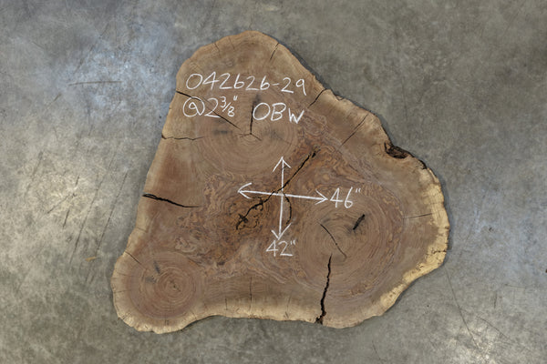 Oregon Black Walnut Round 042626-29