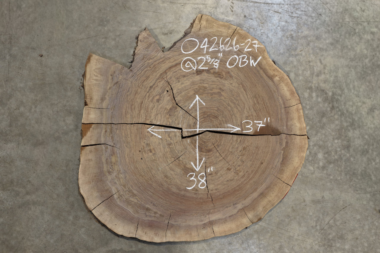 Oregon Black Walnut Round 042626-27