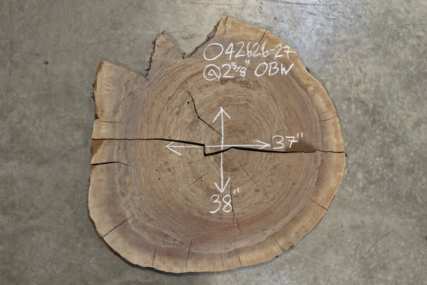 Oregon Black Walnut Round 042626-27