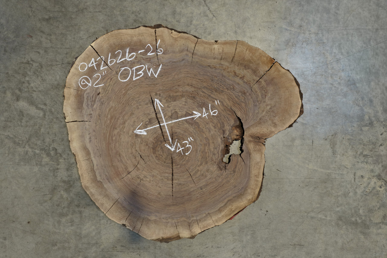 Oregon Black Walnut Round 042626-26
