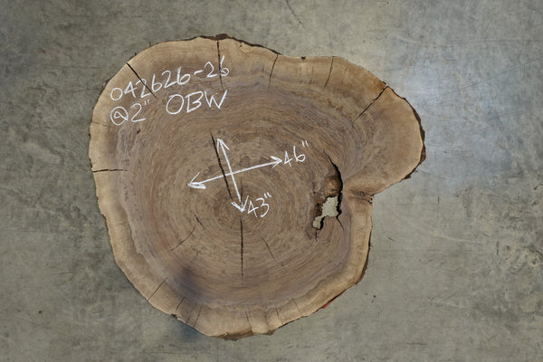 Oregon Black Walnut Round 042626-26