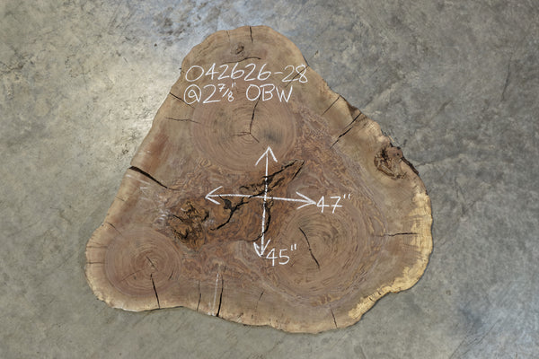 Oregon Black Walnut Round 042626-28