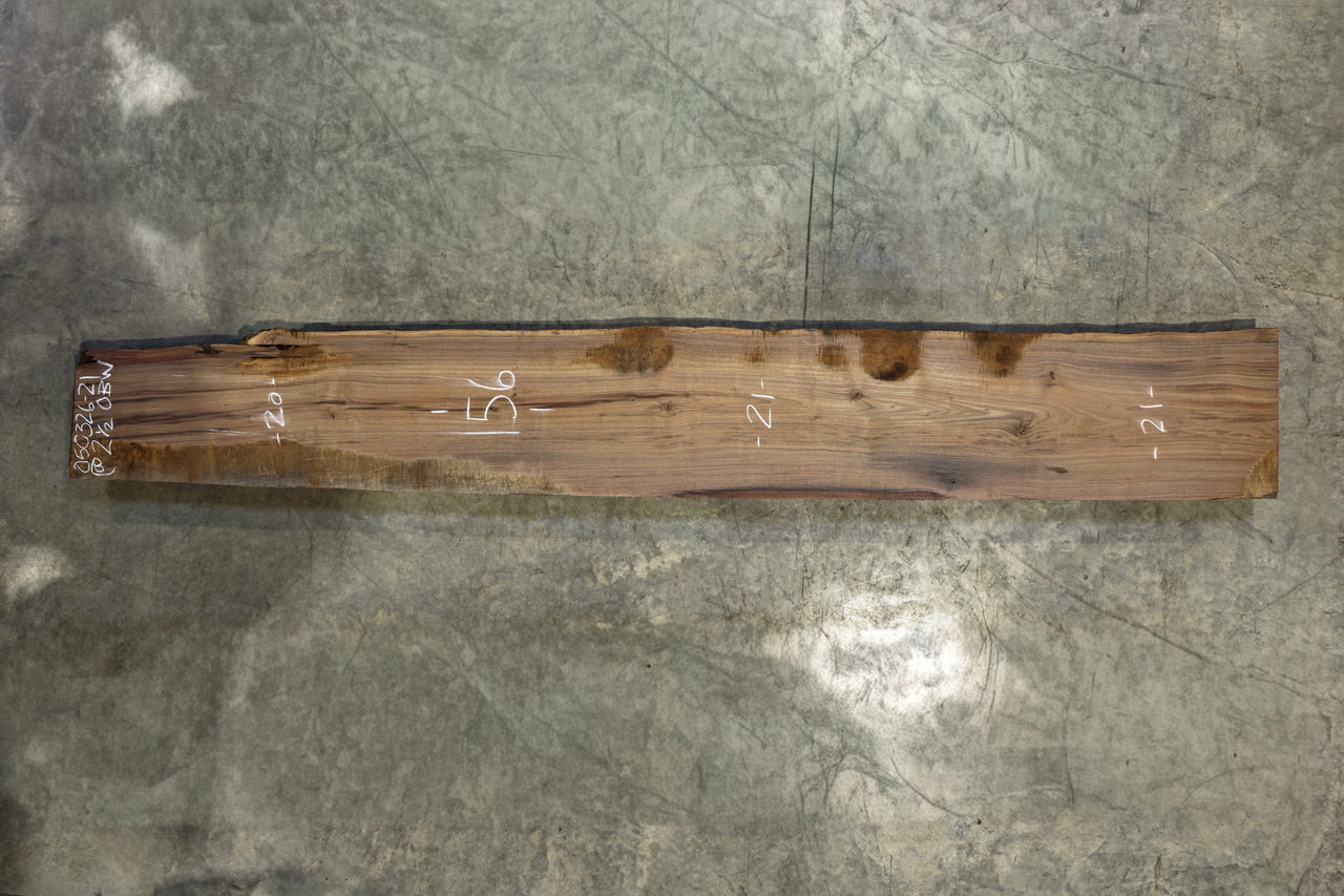 Oregon Black Walnut Slab 050326-21