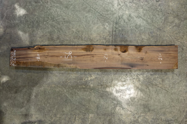 Oregon Black Walnut Slab 050326-21