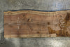 Oregon Black Walnut Slab 090625-1