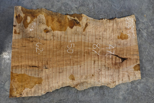 Sycamore Slab 050326-01