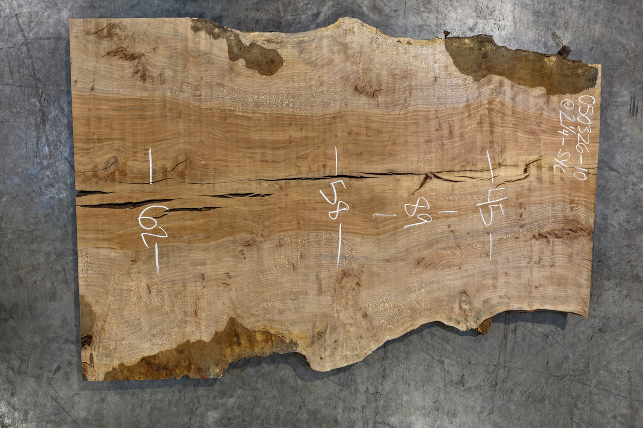 Sycamore Slab 050326-10