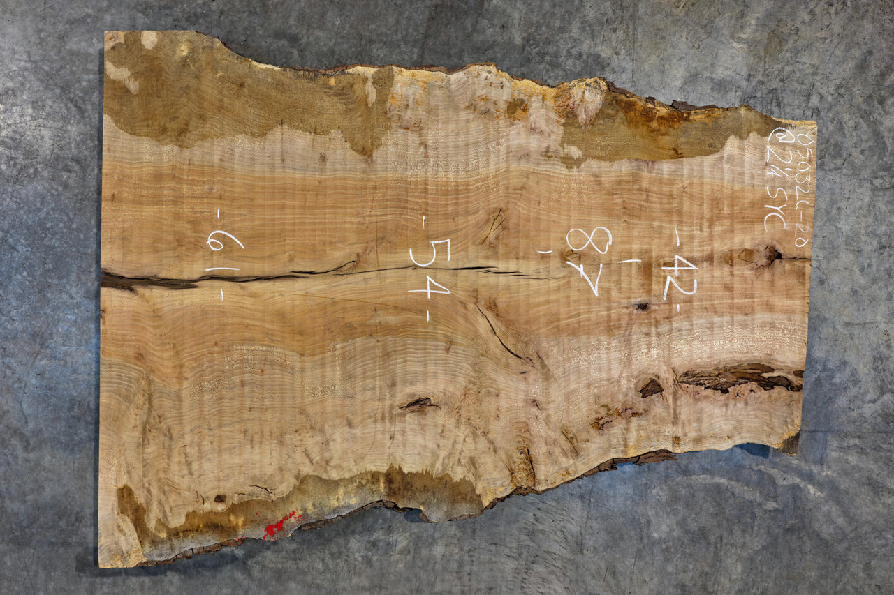 Sycamore Slab 050326-20