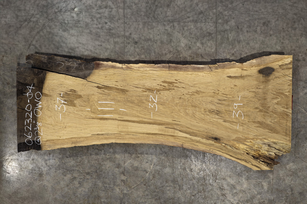 Oregon White Oak 062320-04