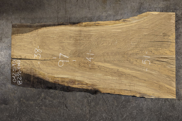 Oregon White Oak 042519-01