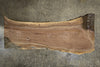 Oregon Black Walnut Slab 070120-03