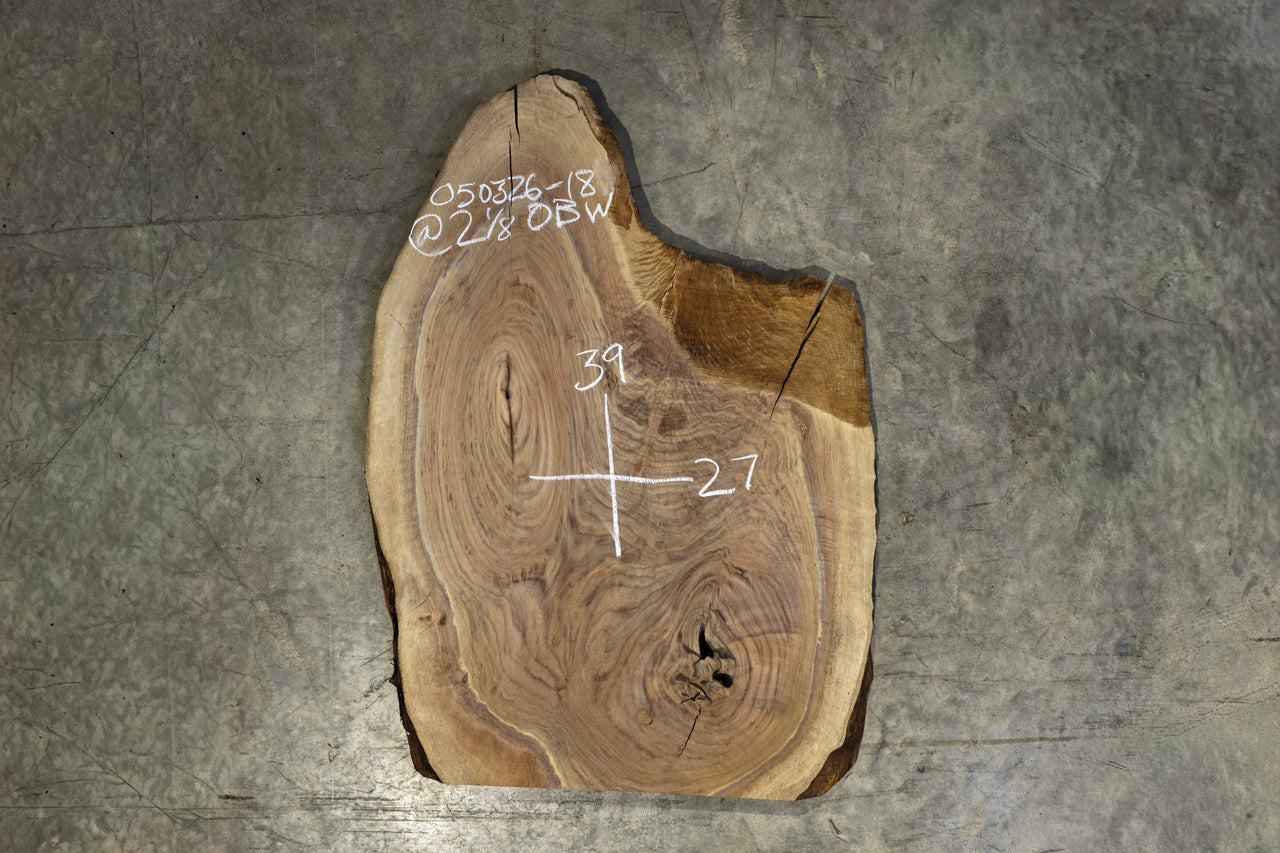 Oregon Black Walnut Slab 050326-18