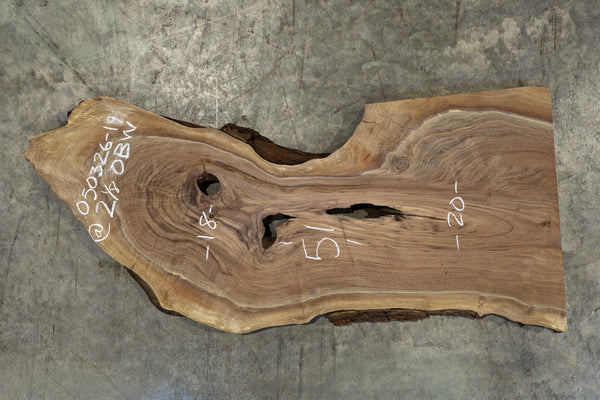 Oregon Black Walnut Slab 050326-19