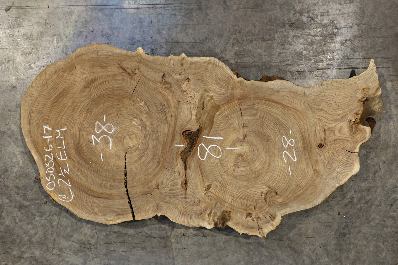 Elm Cookie Slab 050326-17