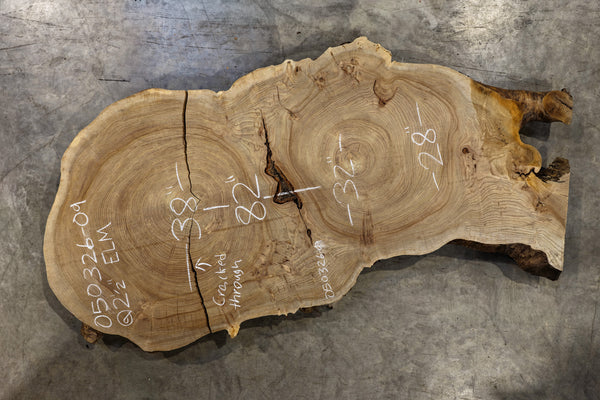 Elm Cookie Slab 050326-09