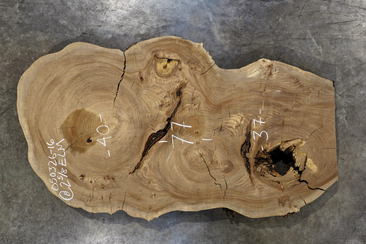 Elm Cookie Slab 050326-16
