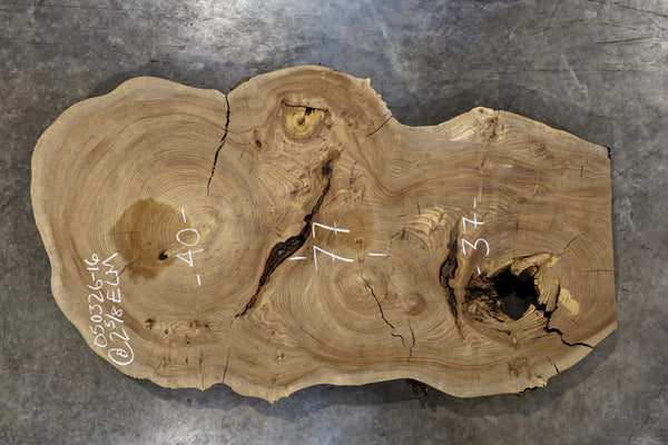 Elm Cookie Slab 050326-16