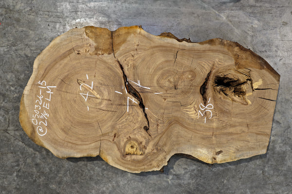 Elm Cookie Slab 050326-15