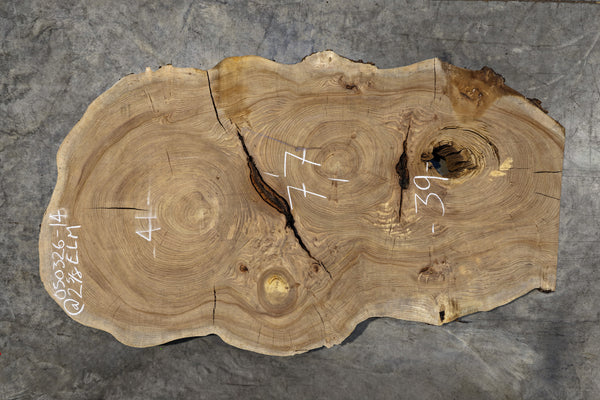 Elm Cookie Slab 050326-14