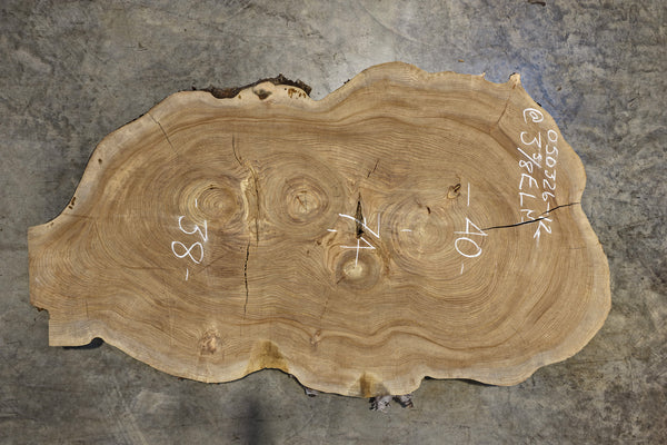 Elm Cookie Slab 050326-12