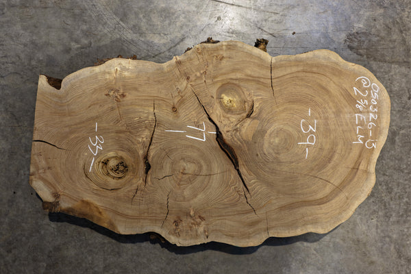 Elm Cookie Slab 050326-13