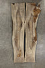 English Walnut Bookmatch BMEW-1552