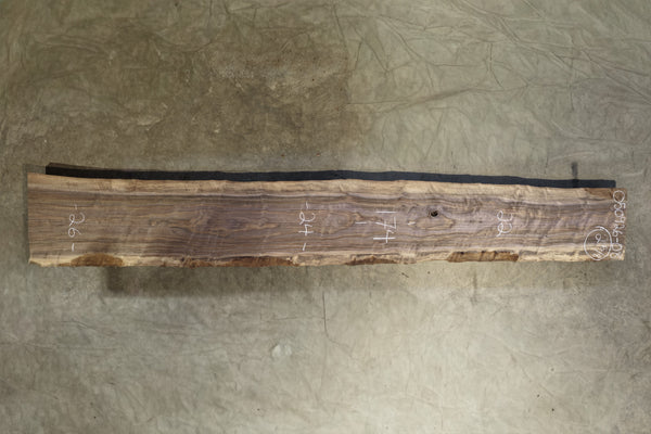 Oregon Black Walnut Slab 050926-08