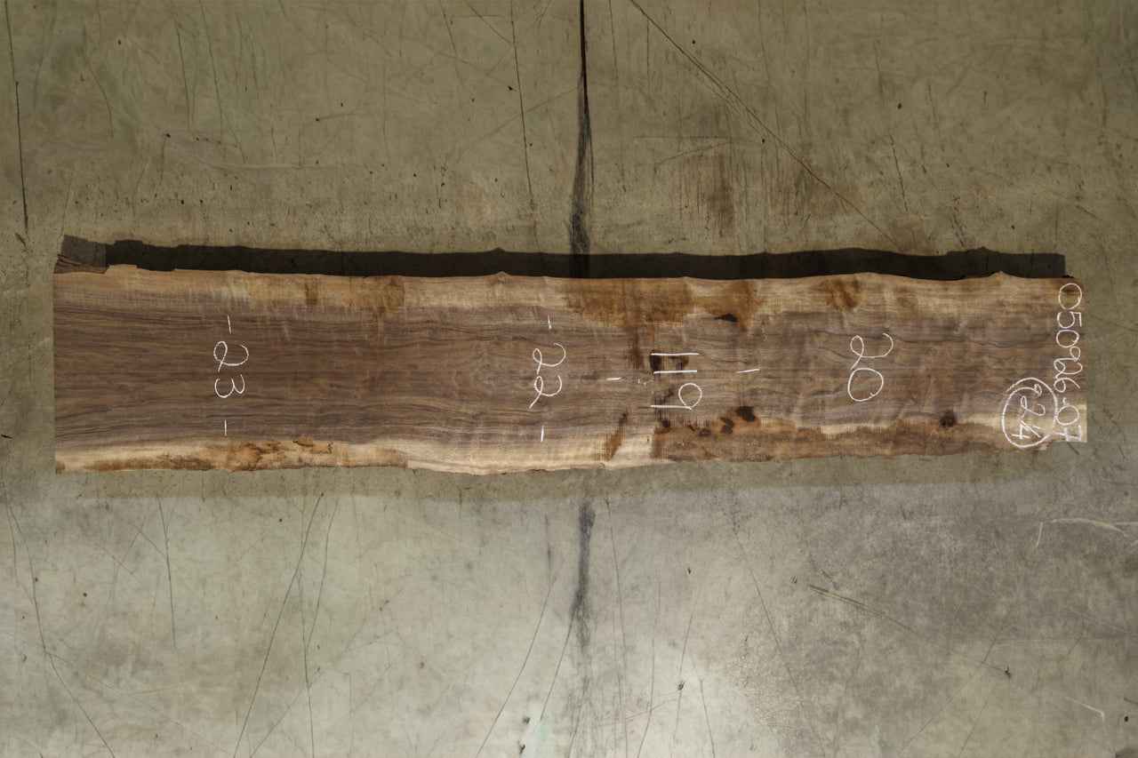 Oregon Black Walnut Slab 050926-07