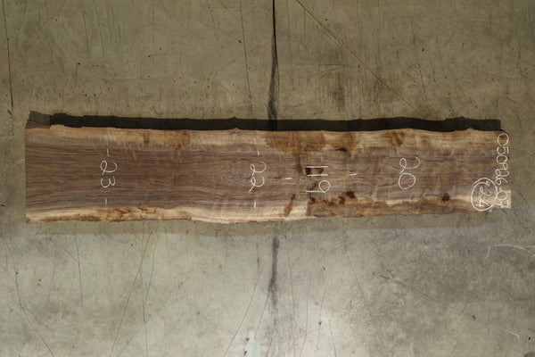 Oregon Black Walnut Slab 050926-07