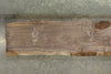 Oregon Black Walnut Slab 050926-02