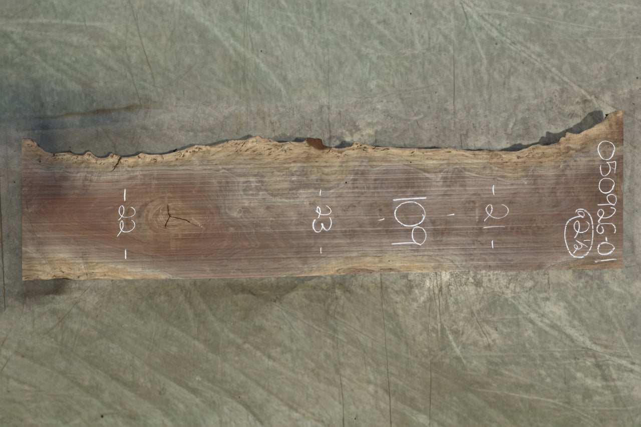 Oregon Black Walnut Slab 050926-01