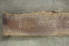 Oregon Black Walnut Slab 050926-01