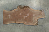 Oregon Black Walnut Slab 101515-02