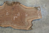 Oregon Black Walnut Slab 101515-02