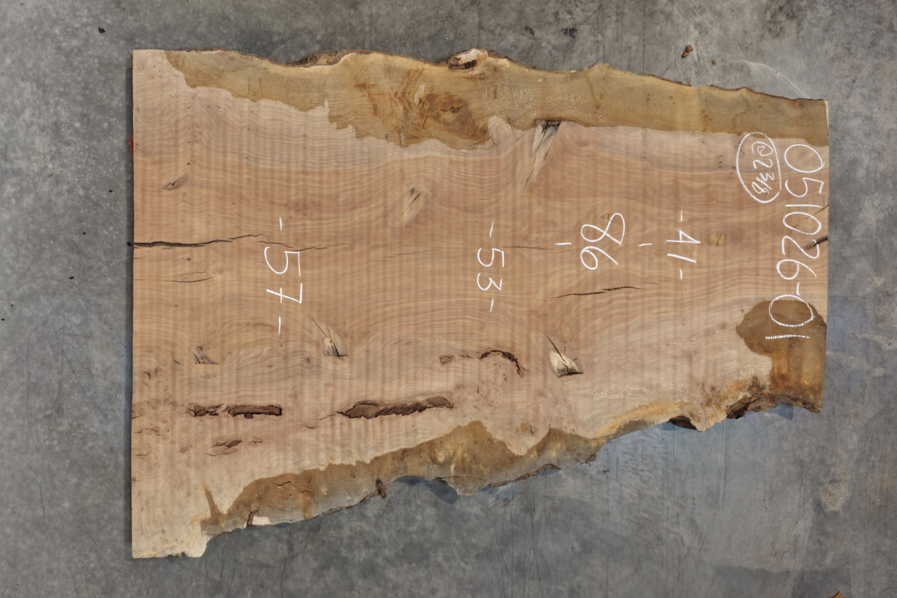 Sycamore Slab 051026-01