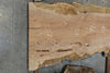 Sycamore Slab 051026-01