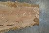 Sycamore Slab 051026-01