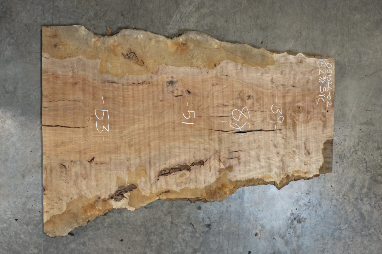 Sycamore Slab 051026-02