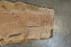 Sycamore Slab 051026-02