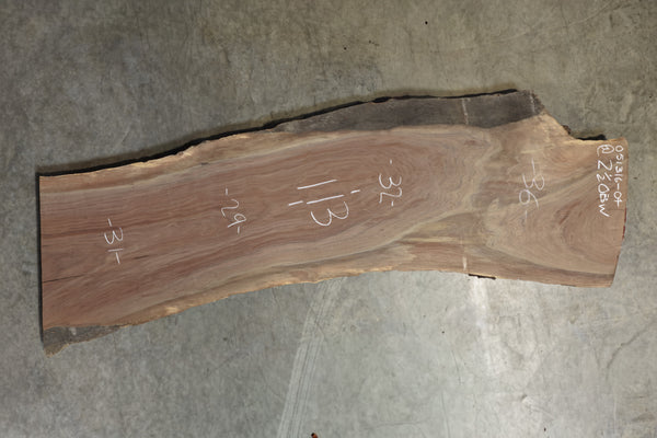 Oregon Black Walnut Slab 051316-04