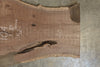 Oregon Black Walnut Slab 011519-03