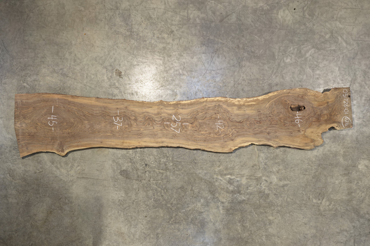 Oregon Black Walnut Slab 051726-01