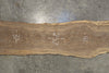 Oregon Black Walnut Slab 051726-01