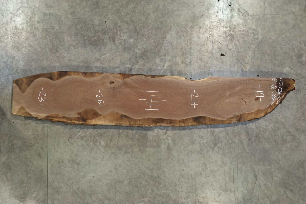 Oregon Black Walnut Slab 051726-04
