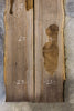 Oregon Black Walnut Bookmatch BMBW-1541