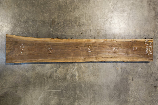 Oregon Black Walnut Slab 041826-1