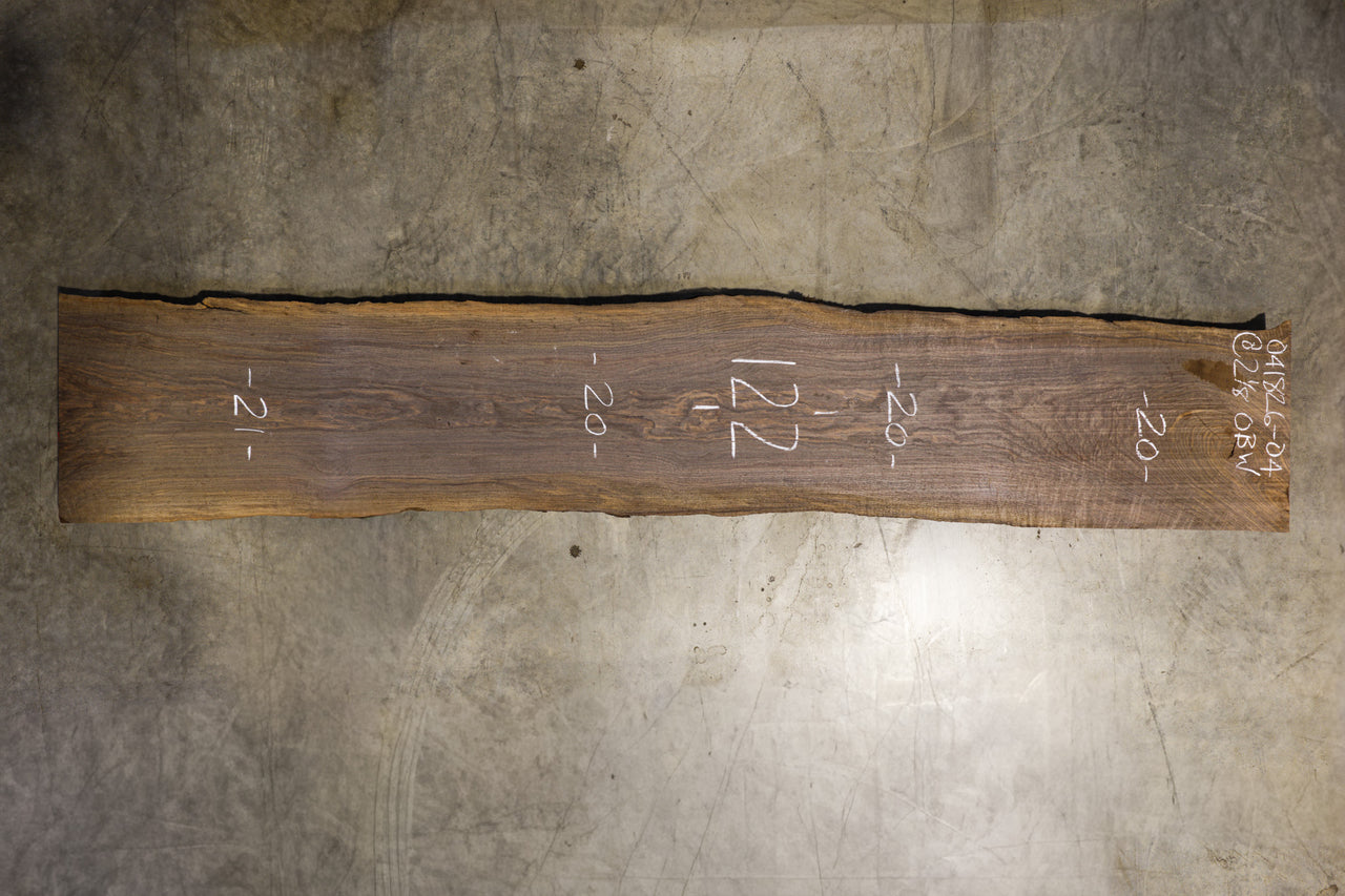 Oregon Black Walnut Slab 041826-04